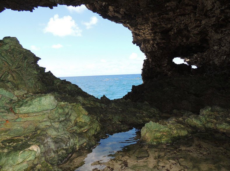 Animal Flower Cave, Barbados